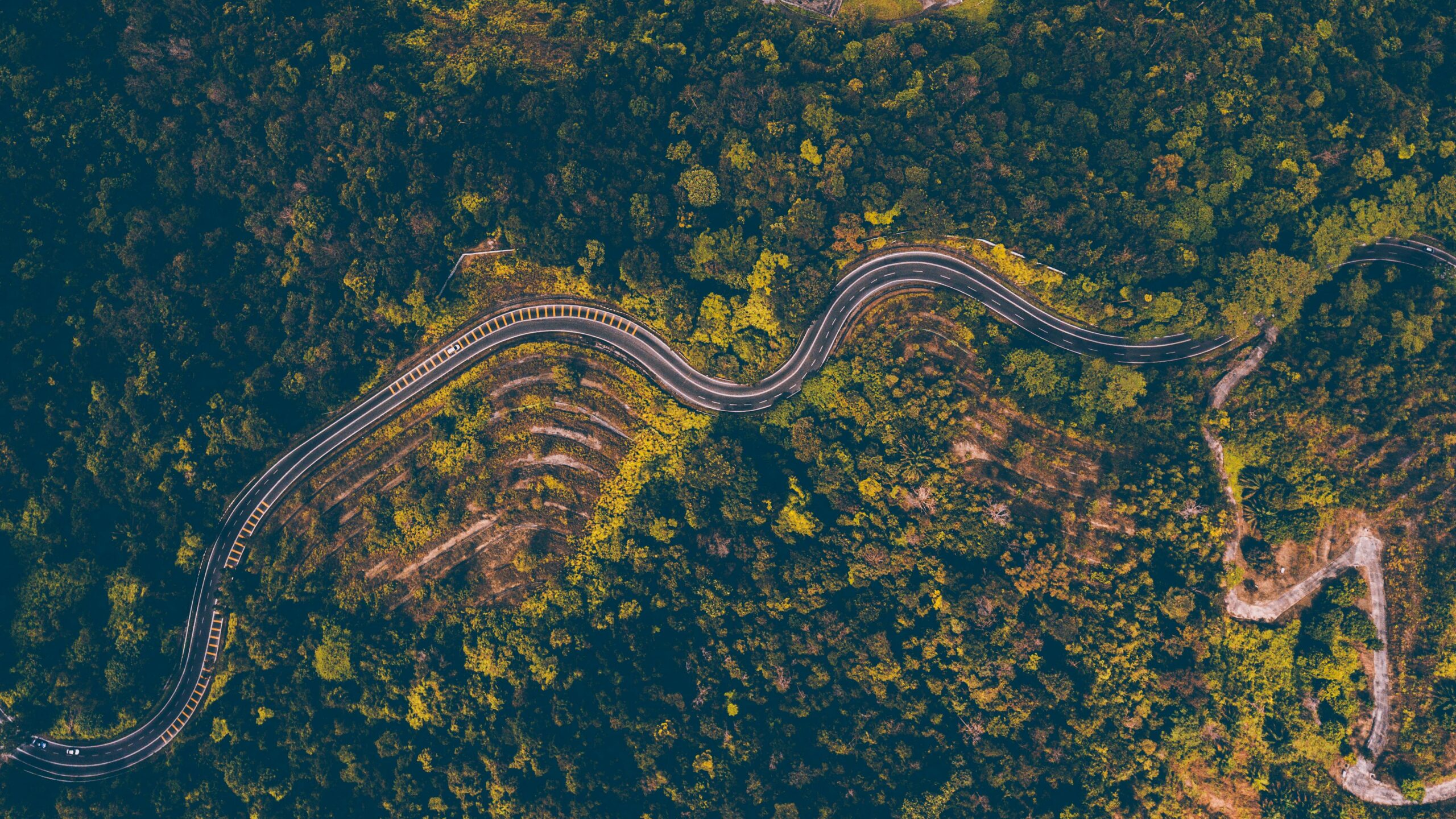 Explore the mesmerizing aerial view of a winding road cutting through the dense forest in Batang Kali, Malaysia.