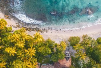 pexels-photo-1078983-1078983 Breathtaking aerial view of palm-lined beach in Dambulla, Sri Lanka with turquoise waters.