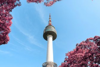 pexels-photo-2848492-2848492 A stunning view of N Seoul Tower surrounded by pink foliage under a clear blue sky in Seoul, South Korea.